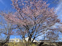 茅野公園