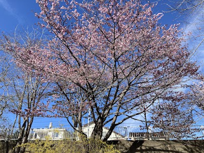 茅野公園