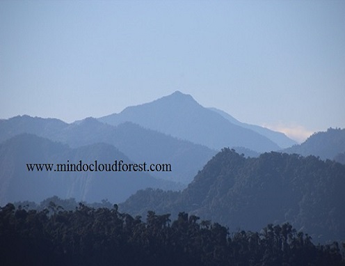 Mindo Cloud Forest.com