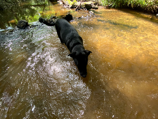Ice Skating Rink «Pavilion Recreation Complex», reviews and photos, 400 Scottswood Rd, Taylors, SC 29687, USA