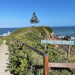 One Tree Point Lookout and Picnic Area