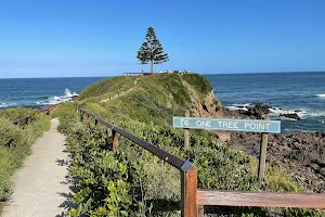 One Tree Point Lookout and Picnic Area image