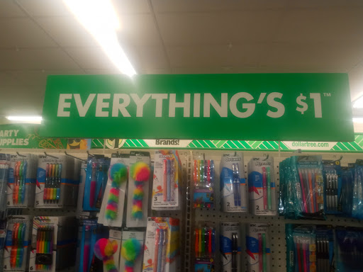 Dollar Store «Dollar Tree», reviews and photos, 951 Co Rd E East, Vadnais Heights, MN 55127, USA