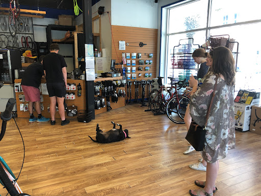Bicycle Store «Affordabike Bicycle Shop», reviews and photos, 573 King St, Charleston, SC 29403, USA