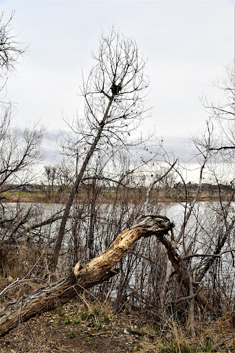 Park «Vanderbilt Park», reviews and photos, 855 S Platte River Dr, Denver, CO 80223, USA