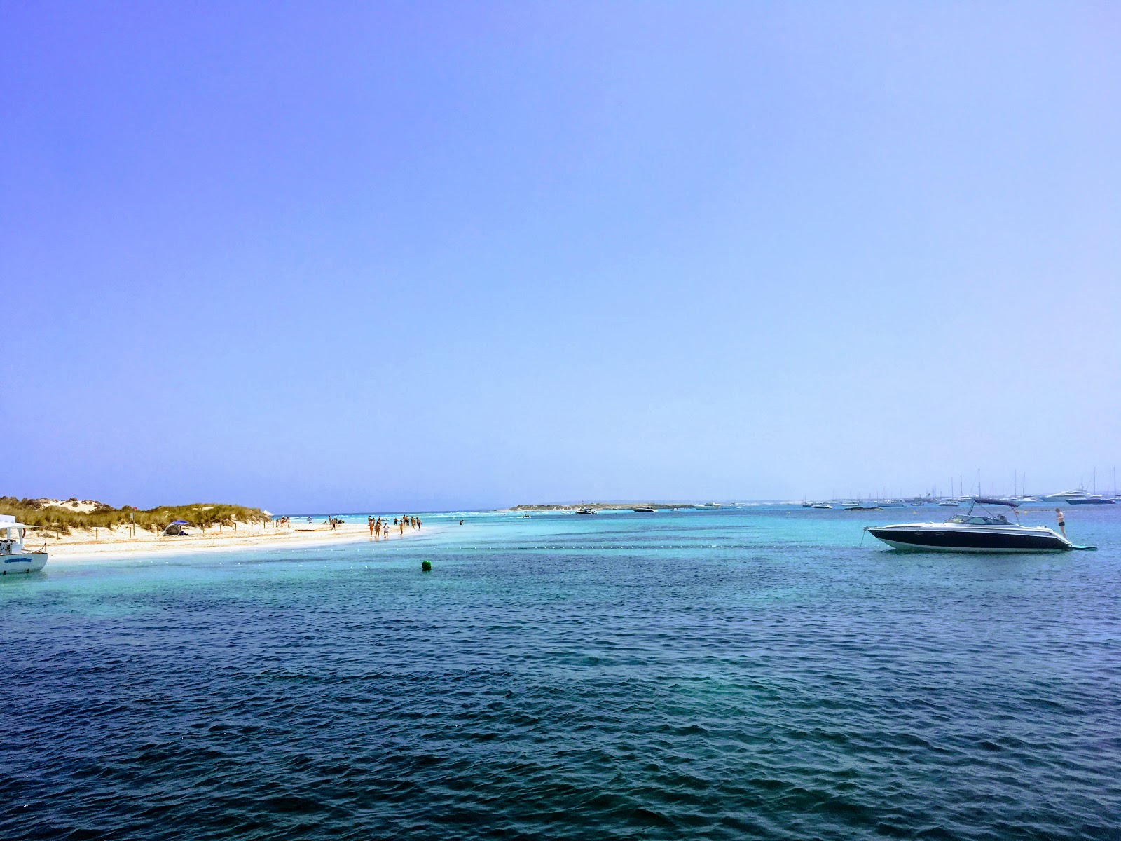 Foto di Platja de S'Alga zona selvaggia