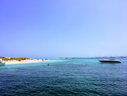 Zdjęcie Platja de S'Alga dziki obszar