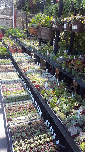 Hardware Store «Santa Barbara Home Improvement Center», reviews and photos, 415 E Gutierrez St, Santa Barbara, CA 93101, USA