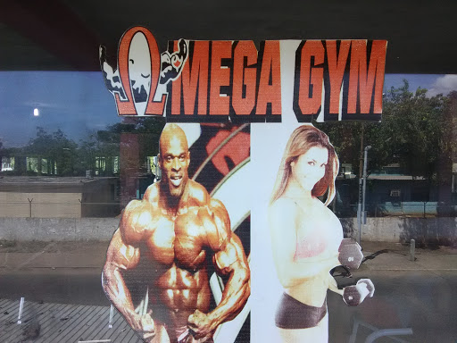 Omega Gym Sfco