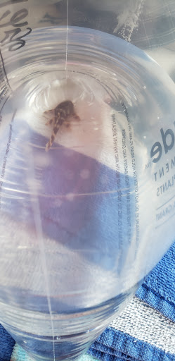 Pet Supply Store «PetSmart», reviews and photos, 849 E 23rd St, Panama City, FL 32405, USA