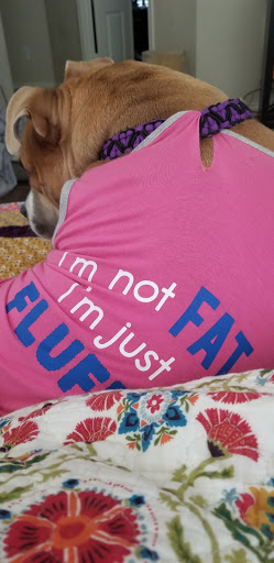 Pet Supply Store «Pet Supermarket», reviews and photos, 2501 FM423, Little Elm, TX 75068, USA