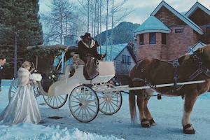 Aspen Carriage and Sleigh image