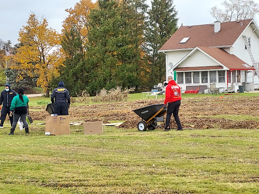 Eden Restoration Project