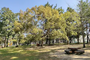 Hatonomori Park image