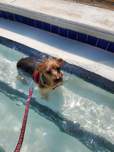 Water Park «Bedford Splash», reviews and photos, 2801 Forest Ridge Dr, Bedford, TX 76021, USA