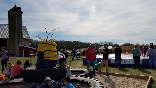 Tourist Attraction «Oregon Dairy Corn Maze», reviews and photos, 1289 Creek Rd, Lititz, PA 17543, USA