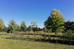 Bucov Botanical Garden image