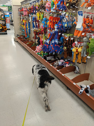 Pet Supply Store «PetSmart», reviews and photos, 6251 N Davis Hwy, Pensacola, FL 32504, USA