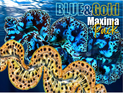 Pet Supply Store «Pacific East Aquaculture», reviews and photos, 107 School St, Mardela Springs, MD 21837, USA