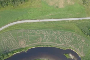 Collins Farm Corn Maze and Adventure Trail image