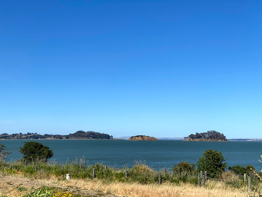 Department Store «Target», reviews and photos, 125 Shoreline Pkwy, San Rafael, CA 94901, USA