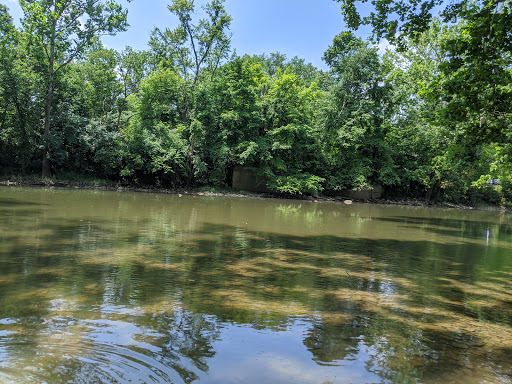 Olentangy River