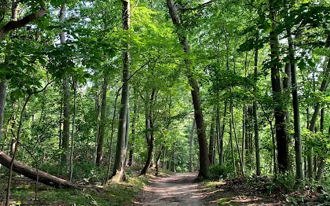 Caumsett State Historic Park Preserve image