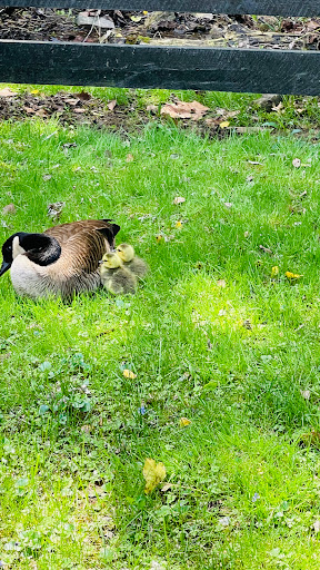 Tourist Attraction «Louisville Mega Cavern», reviews and photos, 1841 Taylor Ave, Louisville, KY 40213, USA