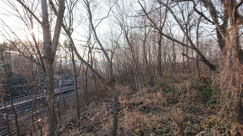 繰矢川城跡