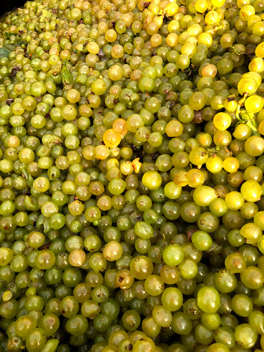 Winery «M Cellars», reviews and photos, 6193 S River Rd W, Geneva, OH 44041, USA