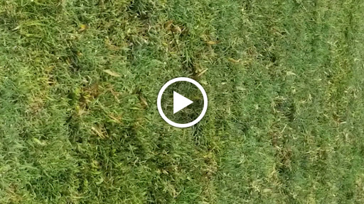 Recreation Center «North Fort Myers Recreation Center», reviews and photos, 2000 N Recreation Park Way, North Fort Myers, FL 33903, USA