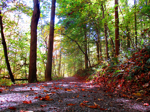 Water Park «Wetlands Water Park», reviews and photos, 1523 TN-81 Truck, Jonesborough, TN 37659, USA