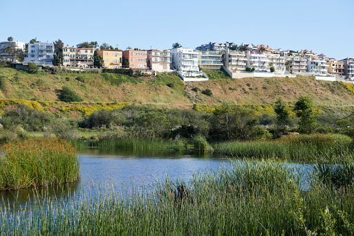 Ballona Freshwater Marsh