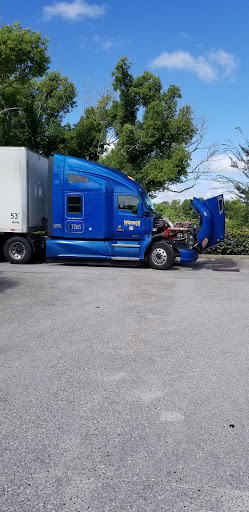 Discount Store «Dollar General», reviews and photos, 5635 FL-674, Wimauma, FL 33598, USA