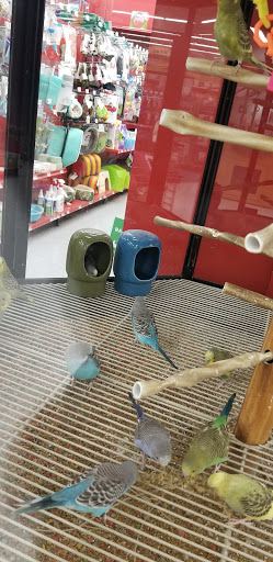 Pet Supply Store «Petco Animal Supplies», reviews and photos, 4012 W 27th Ave, Kennewick, WA 99337, USA