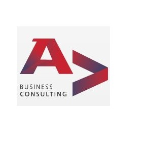 A & V Business Consulting SC