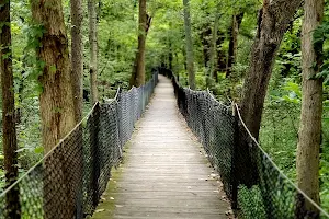 Panther Creek Park image
