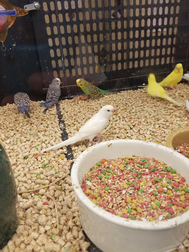 Pet Supply Store «PetSmart», reviews and photos, 1072 Bullsboro Dr, Newnan, GA 30265, USA