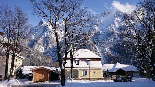 Kleintierpraxis Dr. med. vet. Ulrike Ringholz-Mörk unter Mittenwald, 