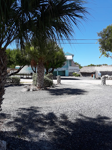 Recreation «Dolphins Plus Oceanside», reviews and photos, 31 Corinne Pl, Key Largo, FL 33037, USA
