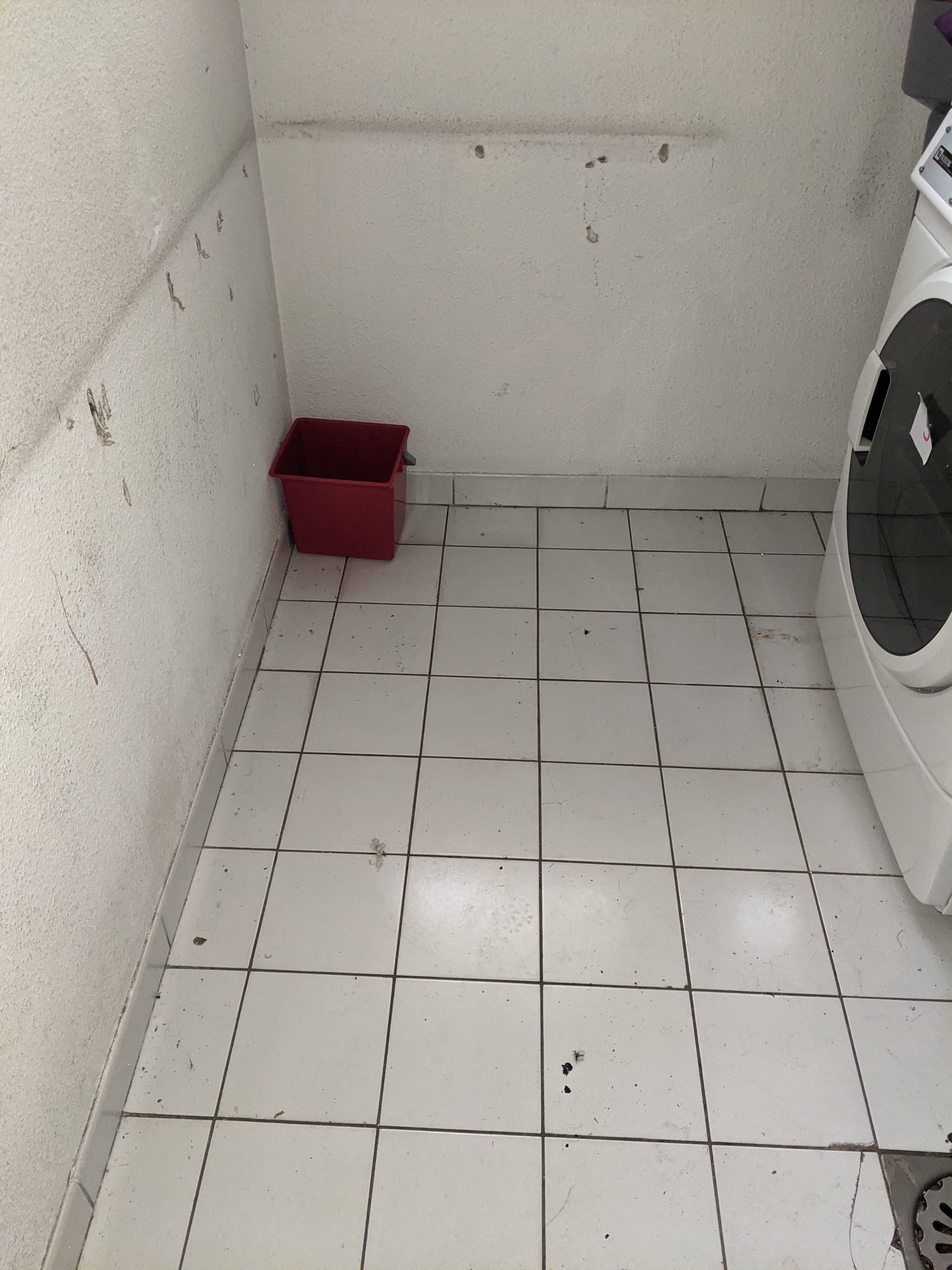 Photo n° 4 de l'avis de Ichrak.e fait le 28/06/2021 à 17:23
