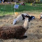 Photo n°4 de l'avis de Thomas.u fait le 18/10/2022 à 05:55 sur le  Schloss Blumenthal à Aichach