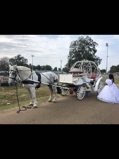 Carriage Tours of Memphis