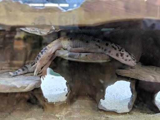 Pet Supply Store «Petco Animal Supplies», reviews and photos, 5263 Campbell Blvd, Nottingham, MD 21236, USA