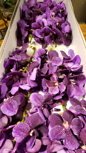 Florist «Tulipia Floral Design», reviews and photos, 7617 Lake St, River Forest, IL 60305, USA