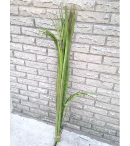 Florist «Flowers By Snellings», reviews and photos, 23 N Braddock St, Winchester, VA 22601, USA