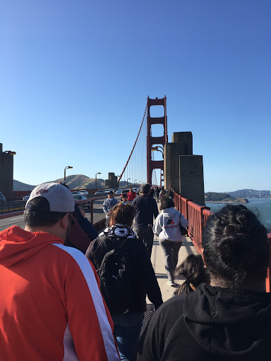 Credit Counseling Service «ShapeMyCredit - CPN Number, SCN Number & Tradelines», reviews and photos