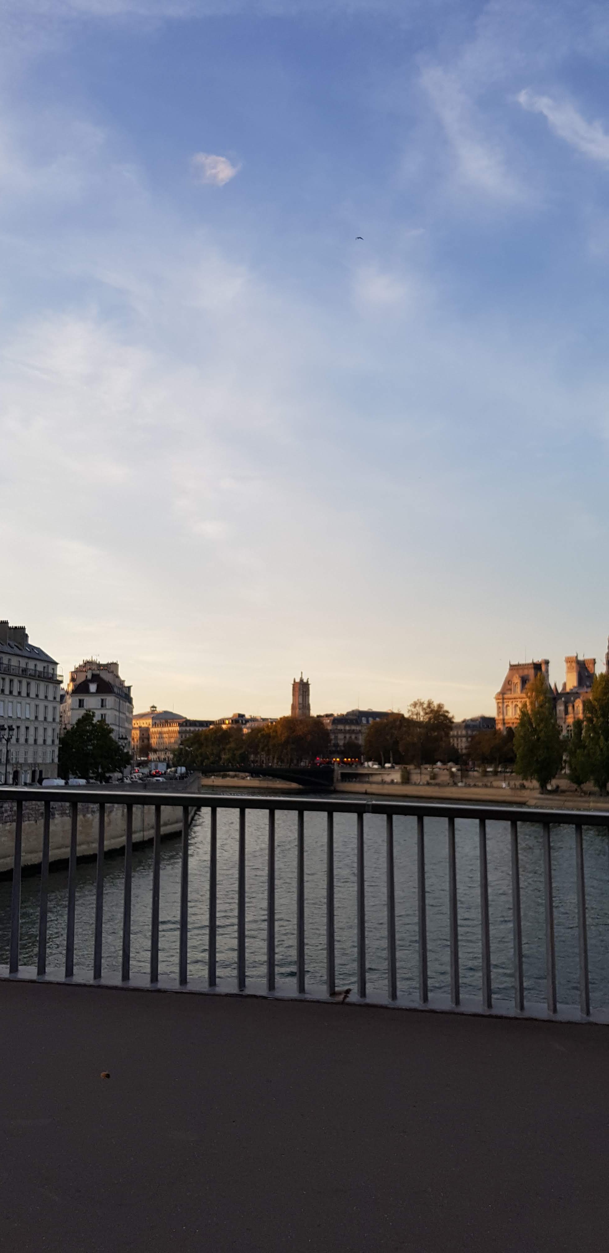 Photo n° 9 de l'avis de MJ. fait le 20/10/2018 à 09:55