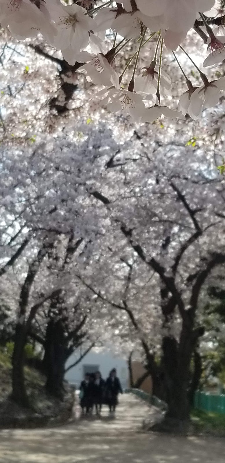 鶴山台2号公園