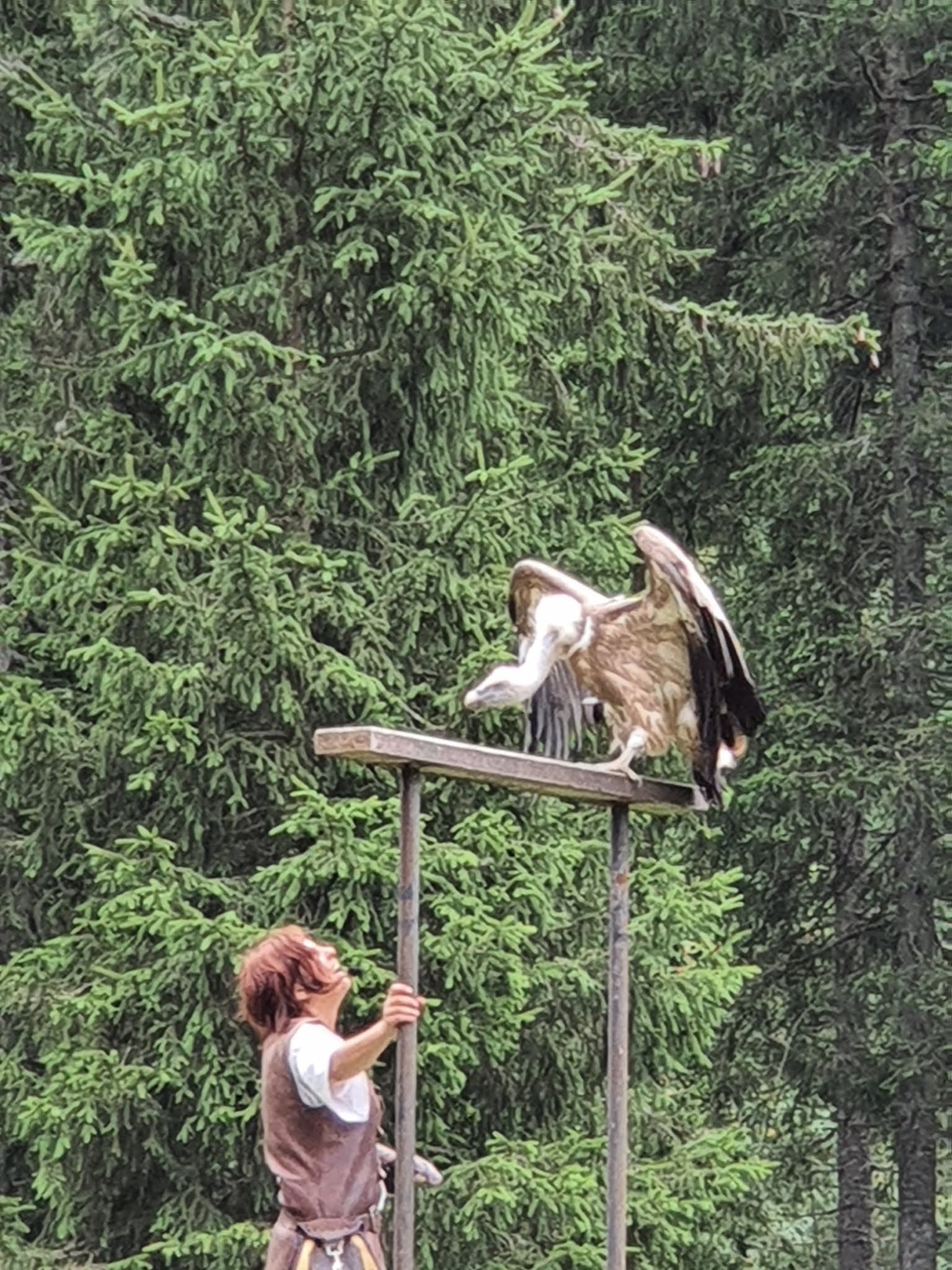 Photo n° 4 de l'avis de Christophe.e fait le 17/08/2020 à 16:36